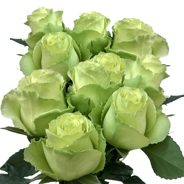 Shrek Flower Bouquet
